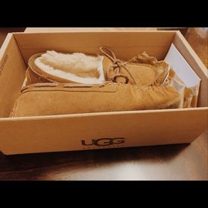 UGG slipper